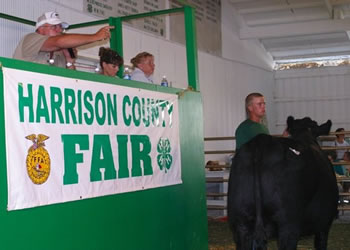 Fair Week - Harriosn County Fair